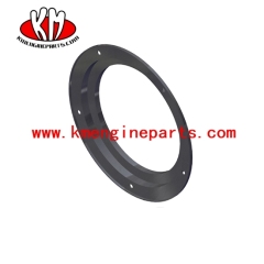 USA QSK60 QSK78 qsk45 Oil Seal 4080404 engine parts for Marine