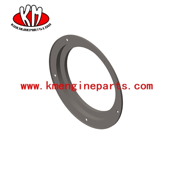 USA QSK60 QSK78 qsk45 Oil Seal 4080404 engine parts for Marine