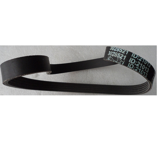 3028521 Alternator Belt