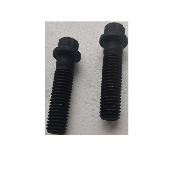 205393 twelve point cap screw