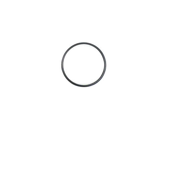 145586 seal o ring 