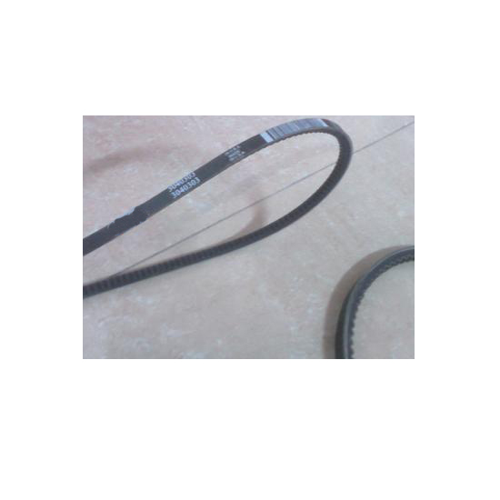 3040303 3807116 V belts