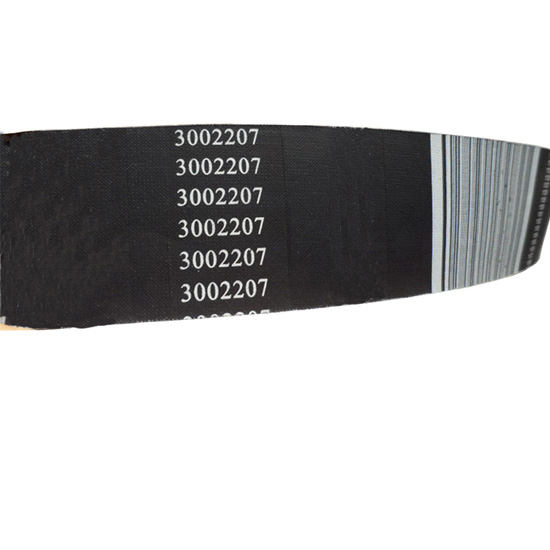 3002207 v ribbed belt 