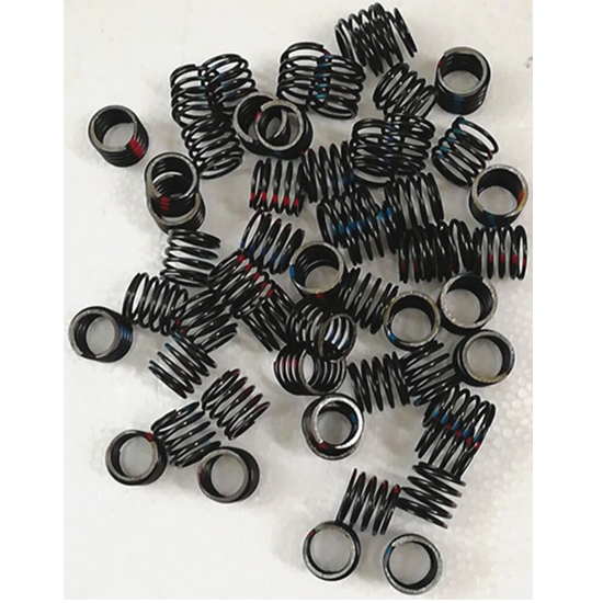 138995 fuel pump torque spring 