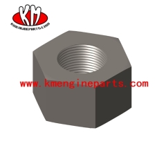 nta855 engine parts 203131 nut heavy hexagon