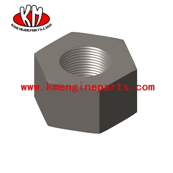 nta855 engine parts 203131 nut heavy hexagon