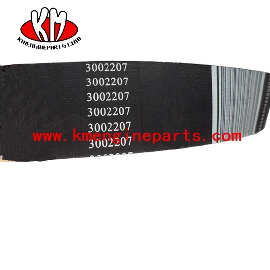 KTA19 engine parts 3002207 v ribbed belt