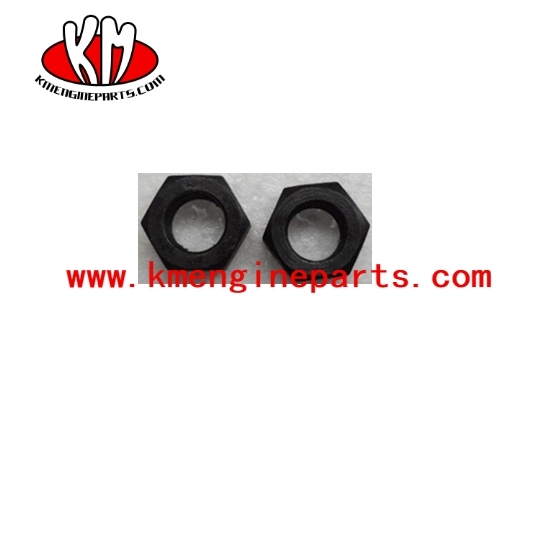 nta855 engine parts 203131 nut heavy hexagon