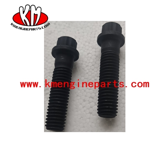 KTA19 KTA38 KTA50 engine parts 205393 twelve point cap screw