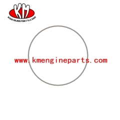 3054948 nta855 engine cylinder liner ring seal