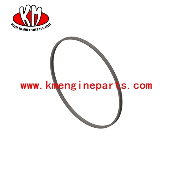 3054948 nta855 engine cylinder liner ring seal
