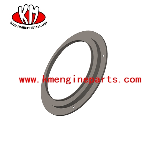 QSK60 QSK78 Oil Seal 3089094 3171911 4066223 4100625 3649550 engine parts for Marine
