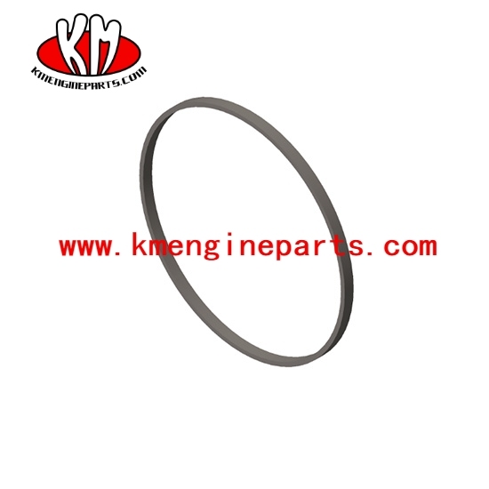 3912473 6bt engine rectangular ring seal