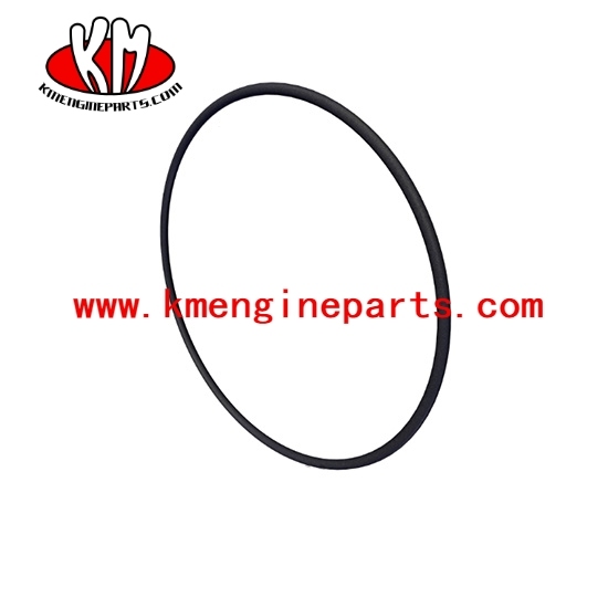 QSK60 O ring seal 4100660 engine parts for vessel