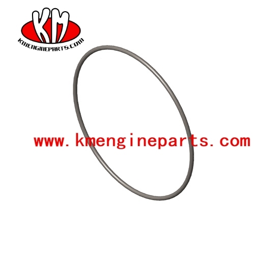 QSK60 O ring seal 4100660 engine parts for vessel