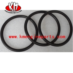 KTA38 KTA50 seal o ring 3007512 engine parts