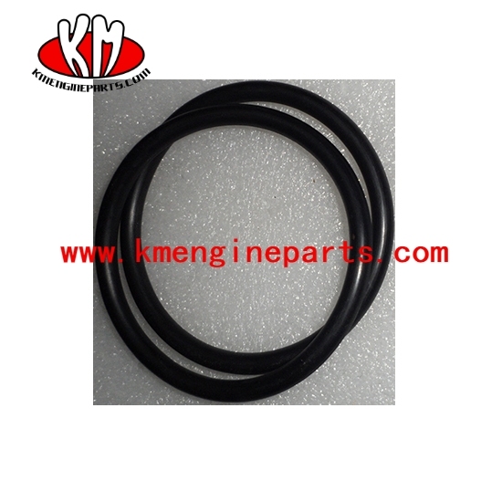 KTA38 KTA50 seal o ring 3007512 engine parts