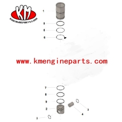 USA china 3803755 3081268 N14 engine cylinder kit and piston kit for heavy truck parts