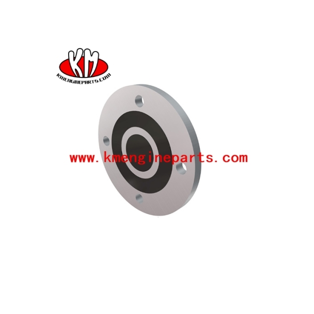 196057 Valve Disc NT855 K19 K38 K50 M11 engine parts for Generator
