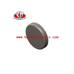 QSK60 Expansion Plug 4017240 Engine Parts For Vessel