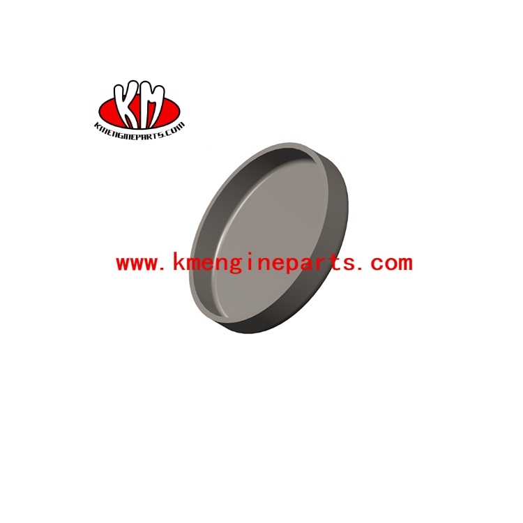 QSK60 Expansion Plug 4017240 Engine Parts For Vessel