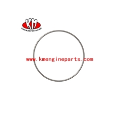3010617 VTA28 Engine O RING SEAL for Vessel spare parts