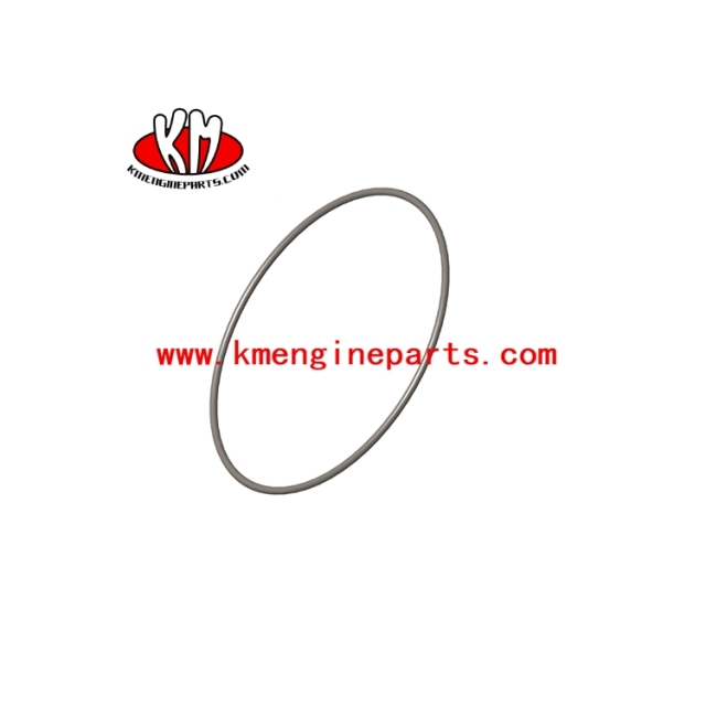 3010617 VTA28 Engine O RING SEAL for Vessel spare parts
