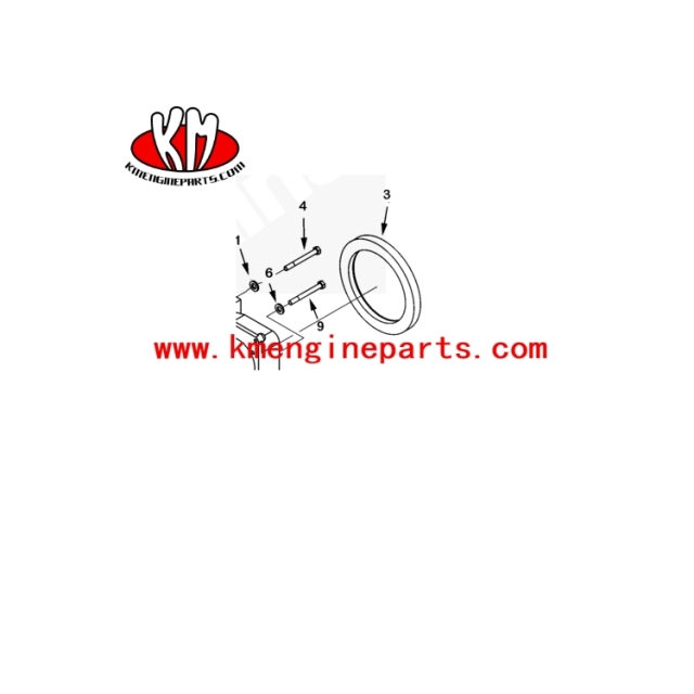 USA QSK23 Oil Seal 4096506 4096337 Generator engine parts