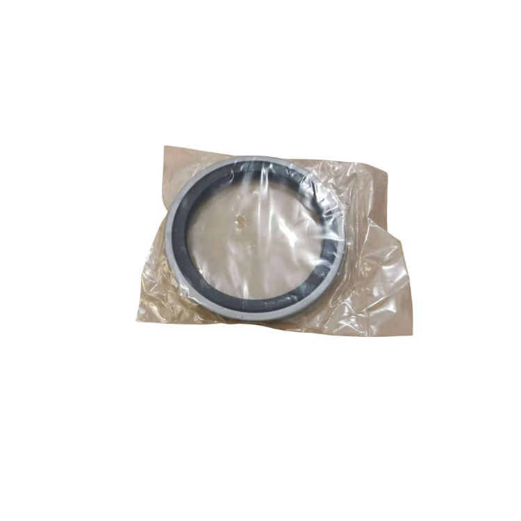 Oil Seal 4096669 4096670