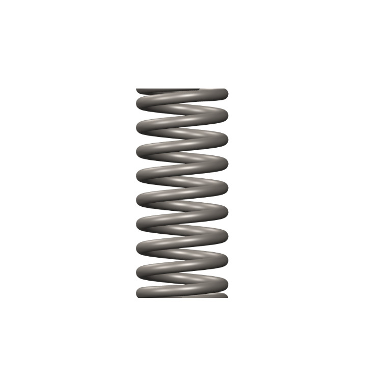 NTA855 Governor Spring