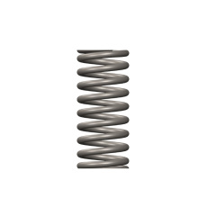 NTA855 Governor Spring