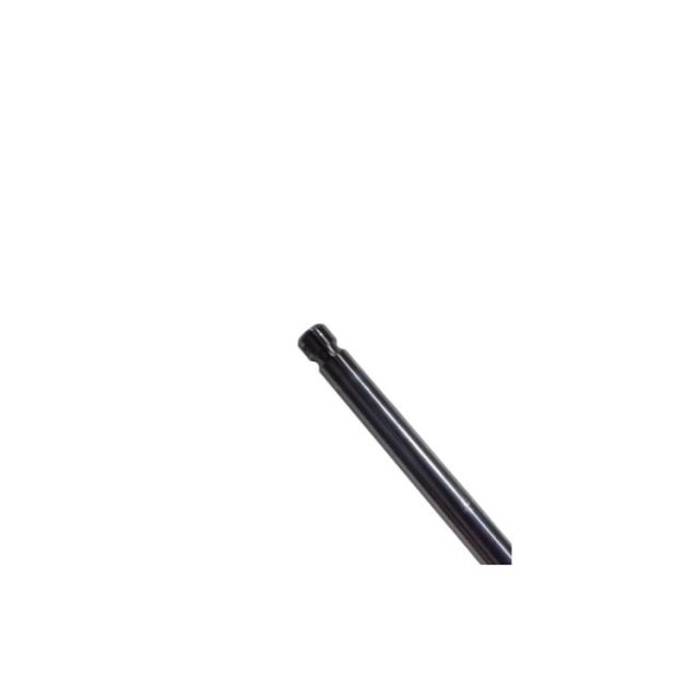 ISG exhaust valve