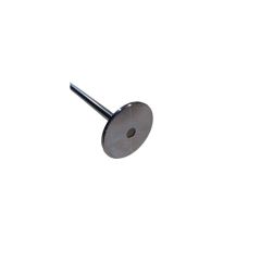 3697156 exhaust valve