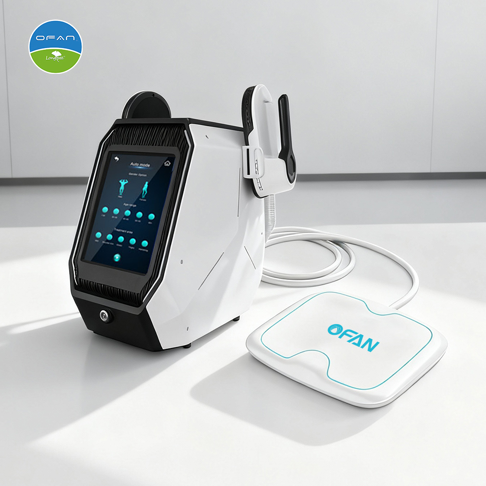 Portable EMS RF Slimming Machine 2300W