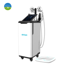 2in1 Cryo EMS Cryolipolysis Machine,2in1 Cryo EMS Cryolipolysis Machine