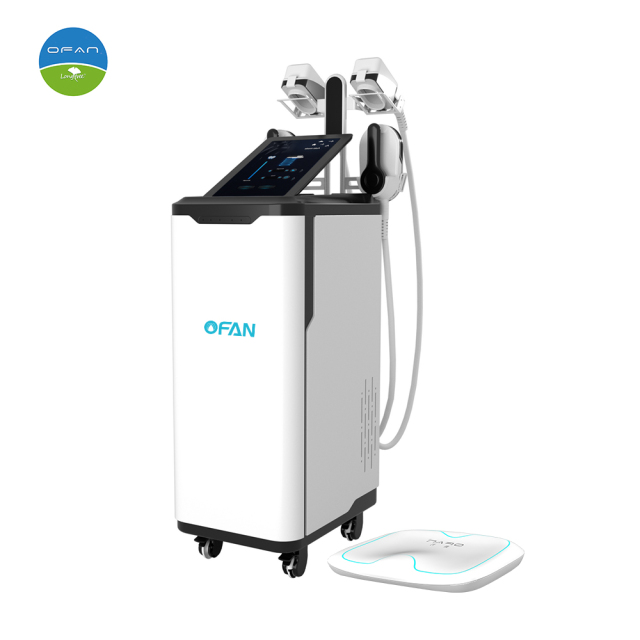 2in1 Cryo EMS Cryolipolysis Machine,2in1 Cryo EMS Cryolipolysis Machine