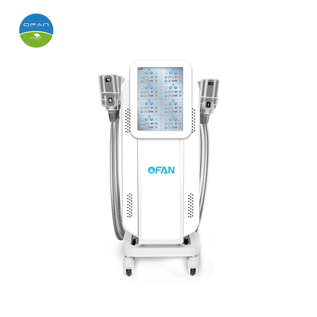 Vertical Cryo Silicon Plate Body Contouring Machine with 8 Handles,8 Handles Cryo Silicon Plate Machine LT-C03 | Vertical Body Contouring Equipment