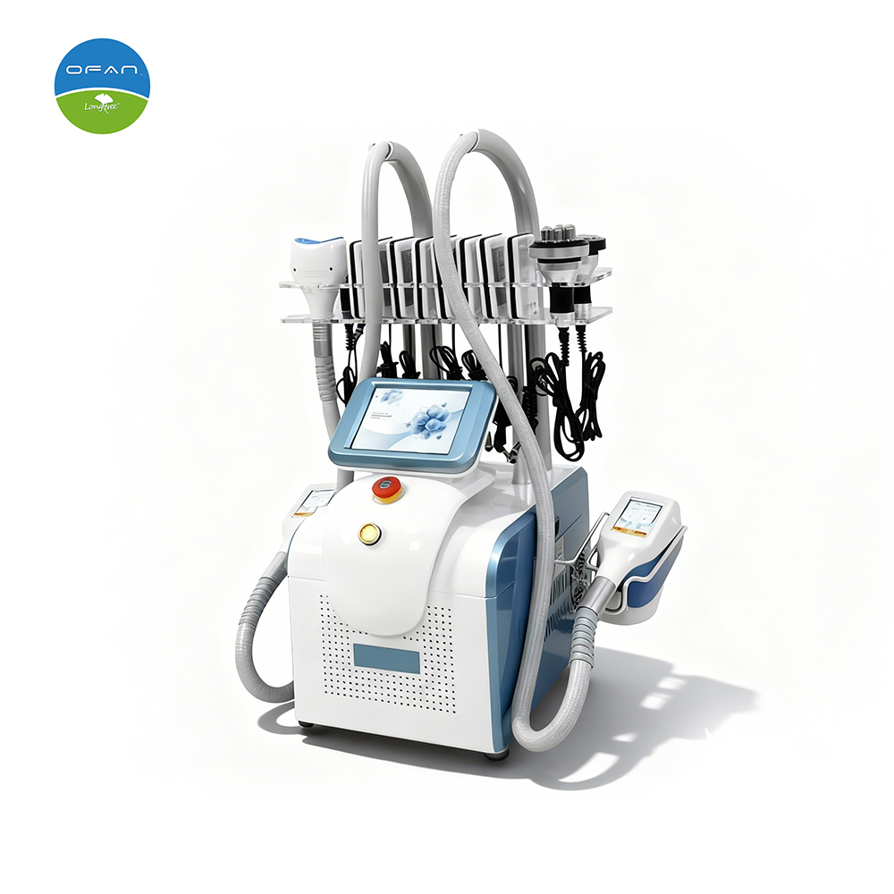Compact Cryolipolysis Machine LT-CR02 | Portable Slimming Equipment
