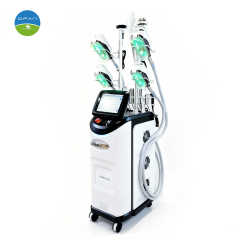 Vertical Cryolipolysis Slimming Machine for Body Contouring