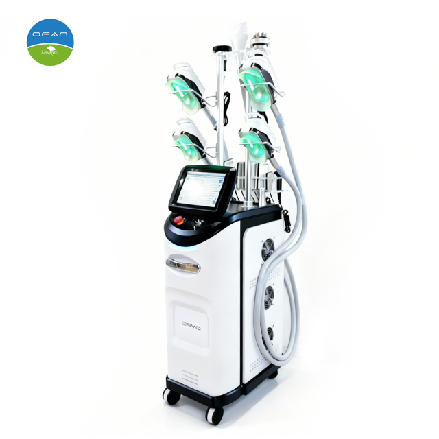 Vertical Cryolipolysis Slimming Machine for Body Contouring