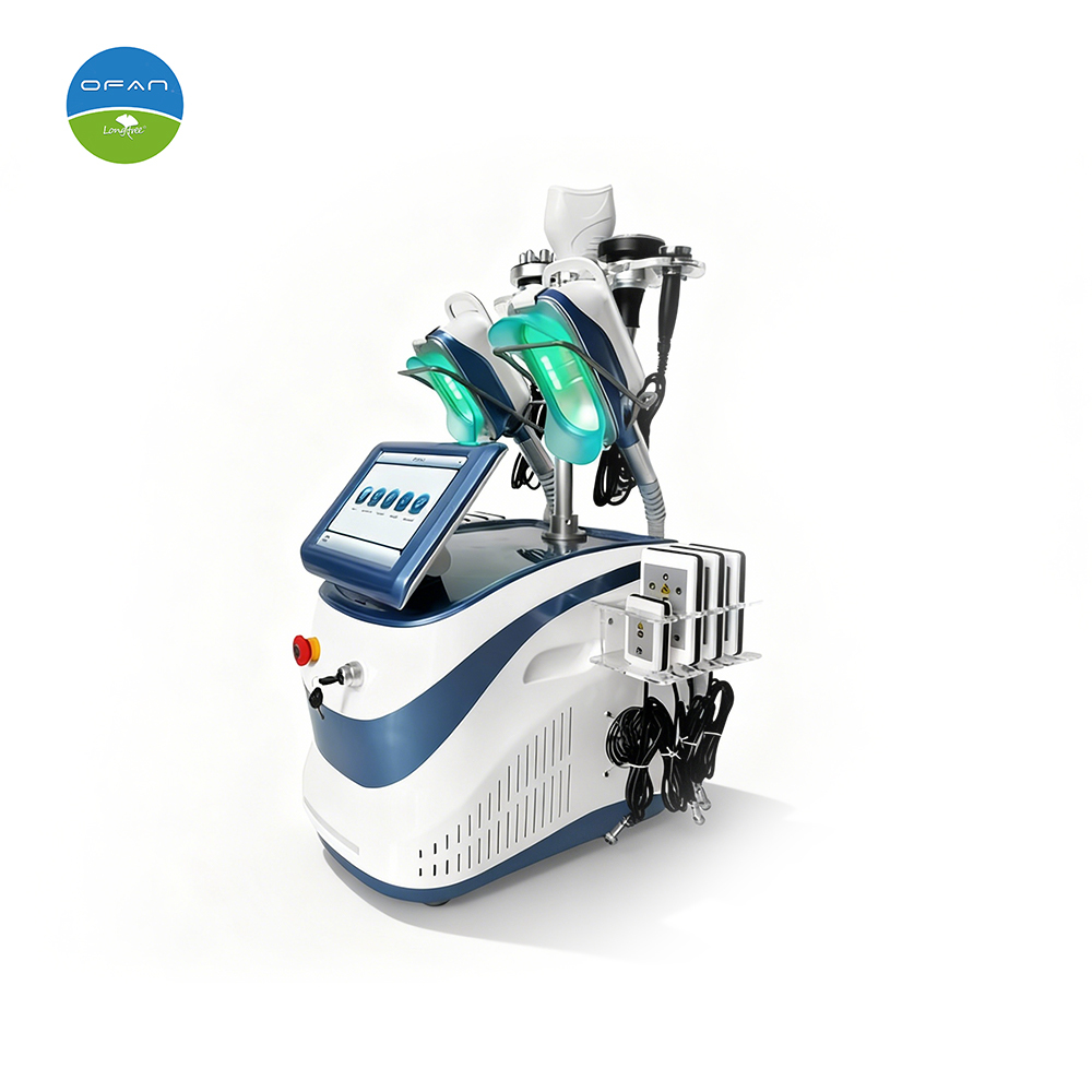 Portable Cryolipolysis Machine LT-CR13 | Compact 360 Body Contouring Device