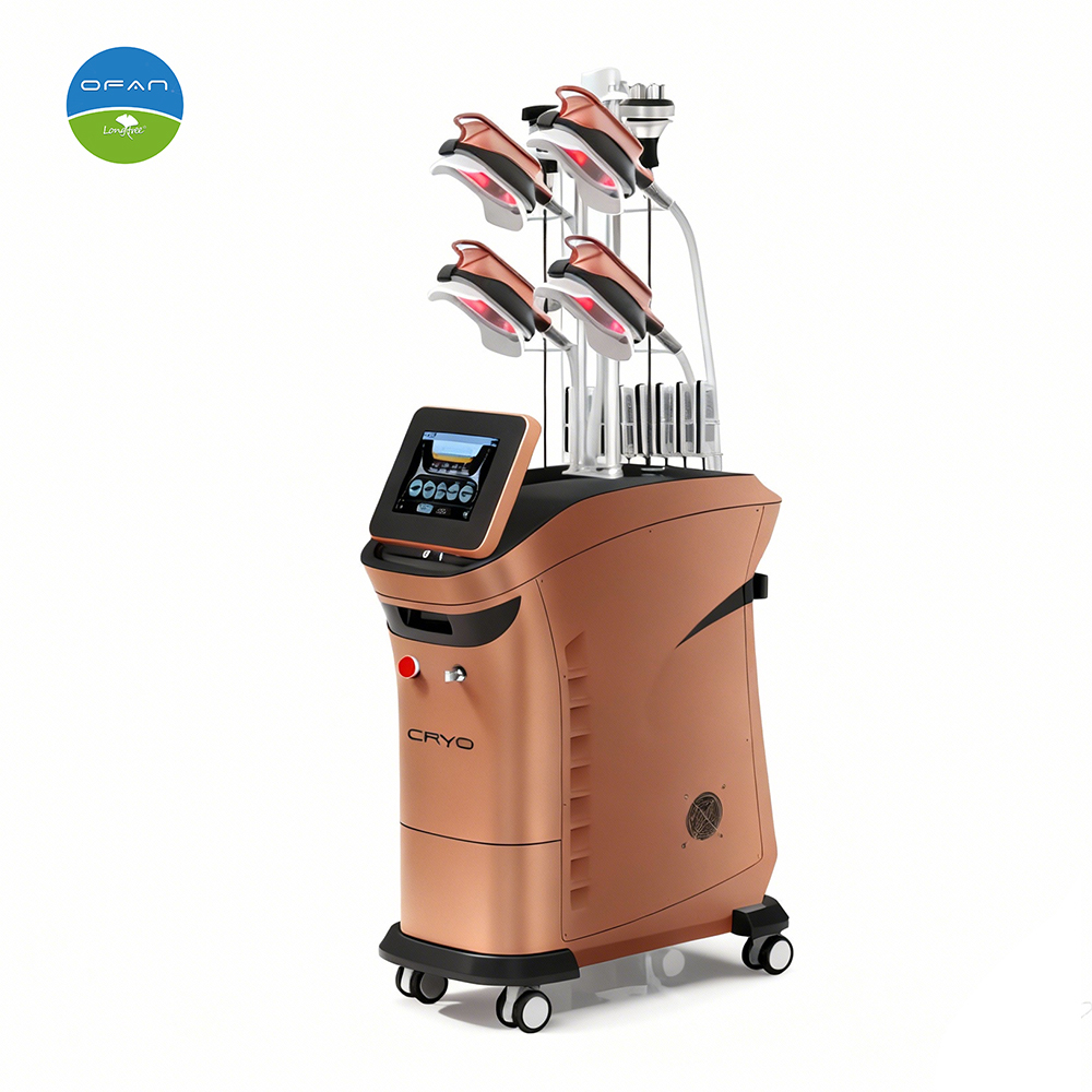 Cryolipolysis Machine LT-CR14 | Body Contouring Equipment Supplier