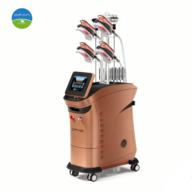 Vertical Cryolipolysis Machine for Professional Slimming Treatments