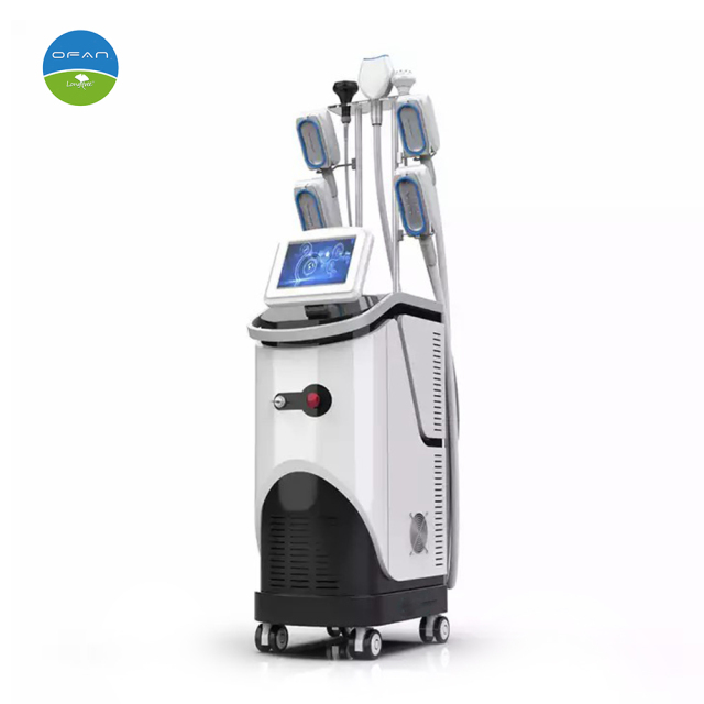 Vertical Cryolipolysis 360 Cryo Machine with Multi Technologies