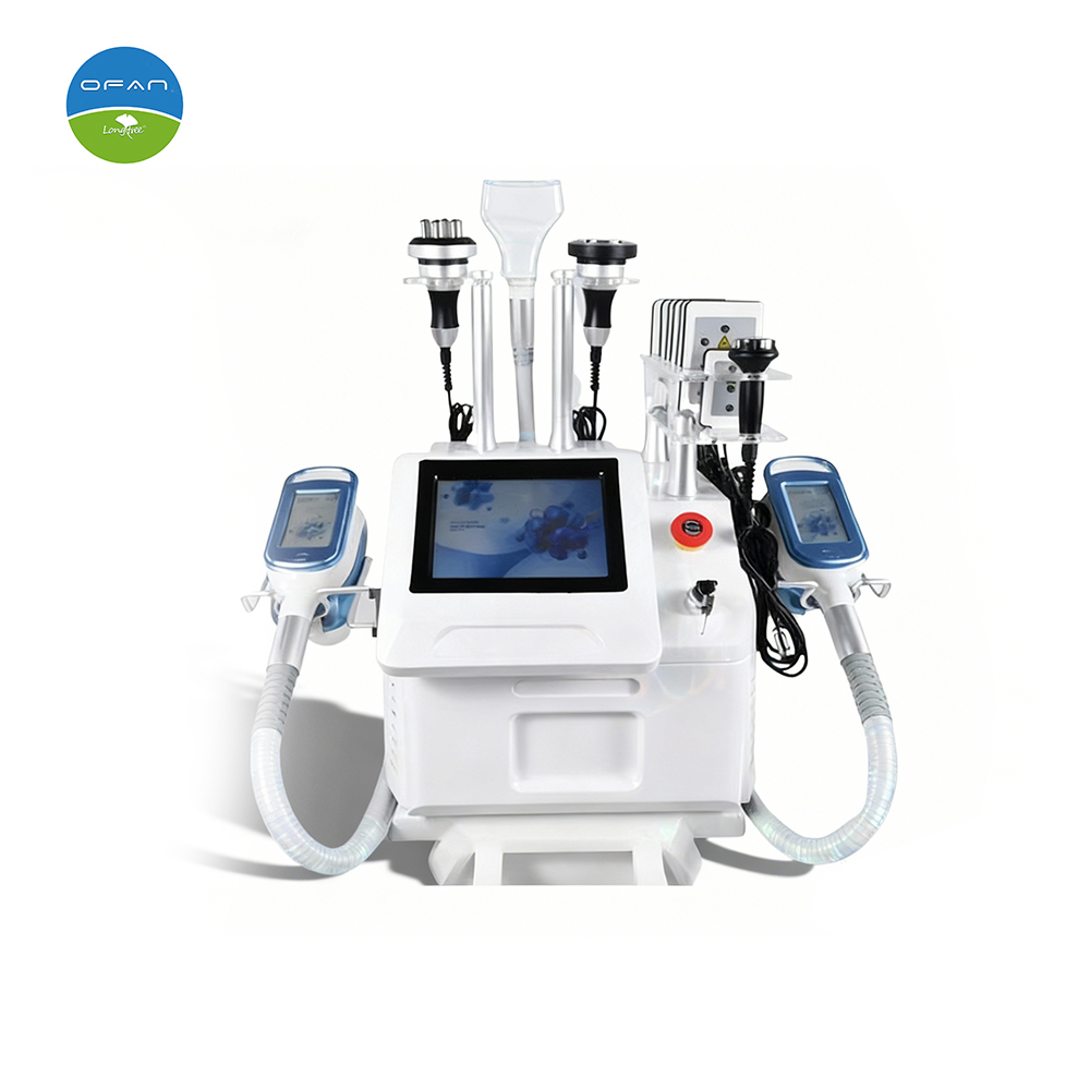 Portable Cryolipolysis Machine LT-CR17 | Professional Slimming Device
