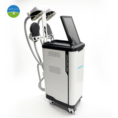 2in1 Cryo EMS Cryolipolysis Machine,2in1 Cryo EMS Cryolipolysis Machine