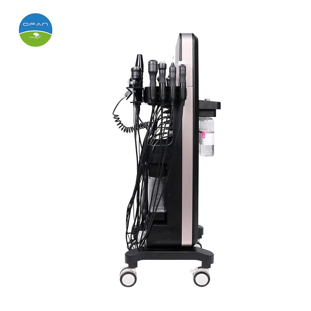 14 in 1 Hydra Facial Machine RF Oxygen Skin Care Device