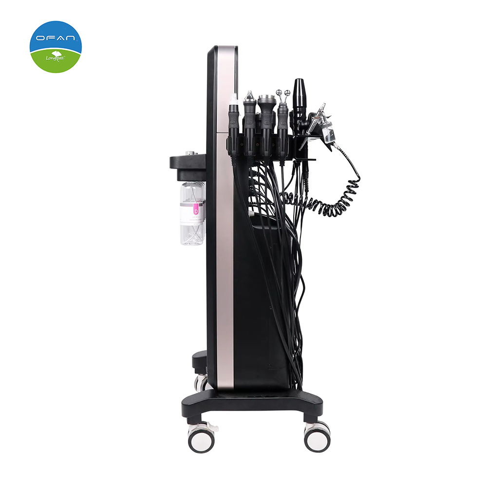 14 in 1 Hydra Facial Machine RF Oxygen Skin Care Device