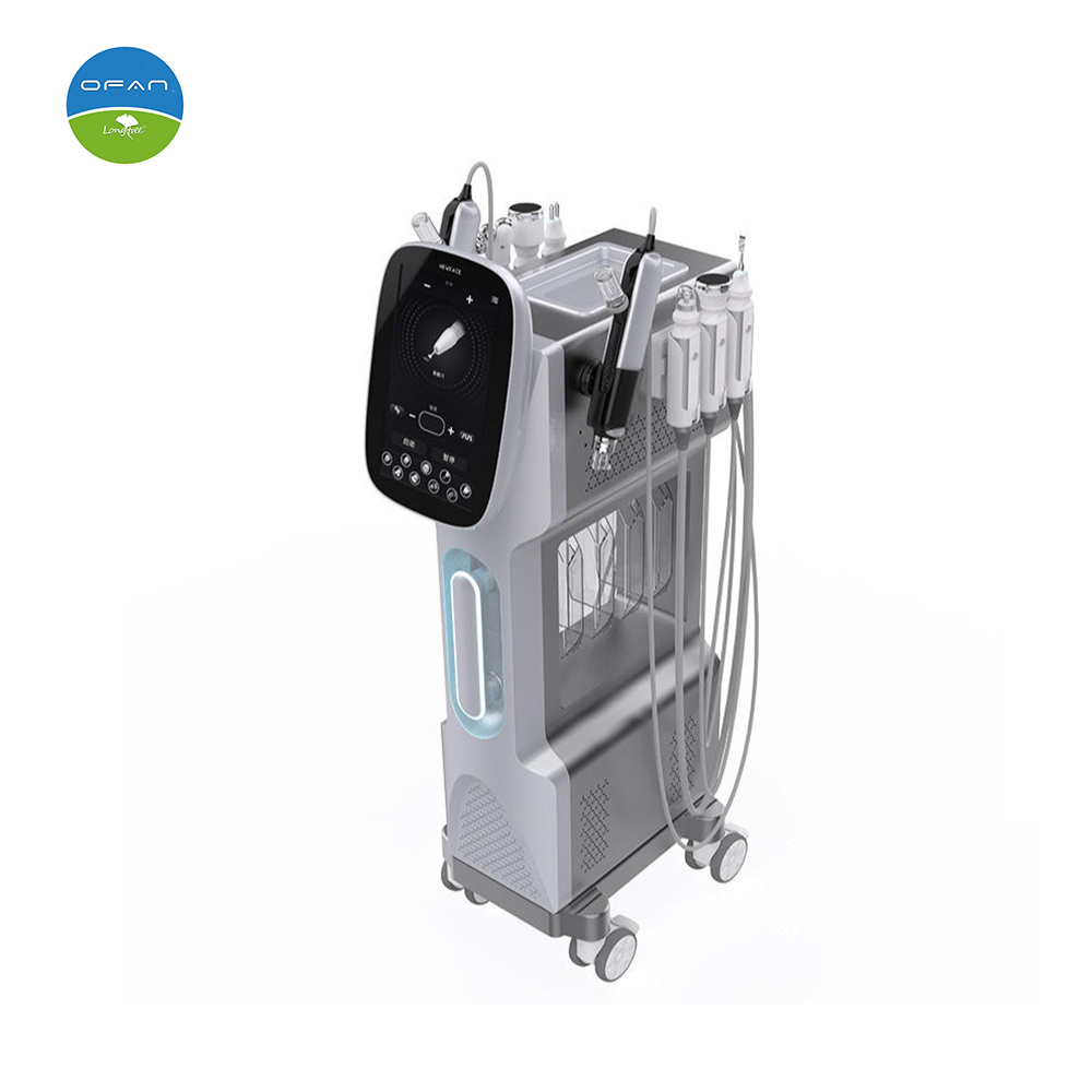 9 in 1 Hydra Dermabrasion Oxygen Facial Machine