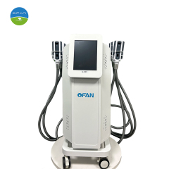 Vertical Cryo Silicon Plate Body Contouring Machine with 8 Handles,8 Handles Cryo Silicon Plate Machine LT-C03 | Vertical Body Contouring Equipment